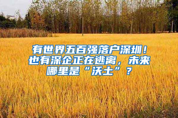 有世界五百强落户深圳！也有深企正在逃离，未来哪里是“沃土”？