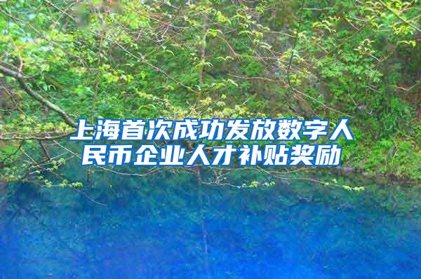 上海首次成功发放数字人民币企业人才补贴奖励