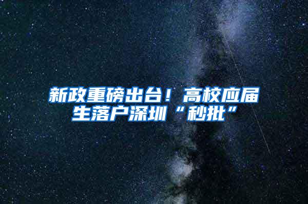 新政重磅出台！高校应届生落户深圳“秒批”