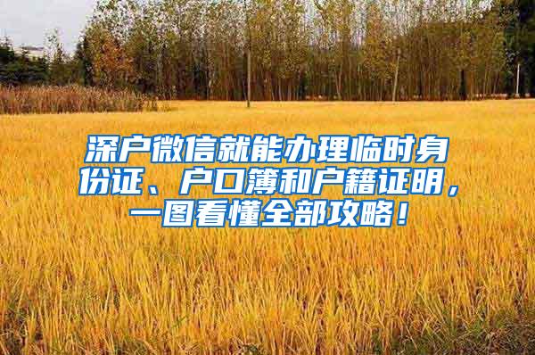 深户微信就能办理临时身份证、户口簿和户籍证明，一图看懂全部攻略！