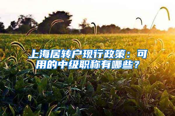 上海居转户现行政策：可用的中级职称有哪些？