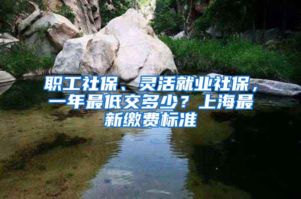 职工社保、灵活就业社保，一年最低交多少？上海最新缴费标准