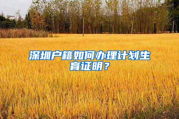 深圳户籍如何办理计划生育证明？