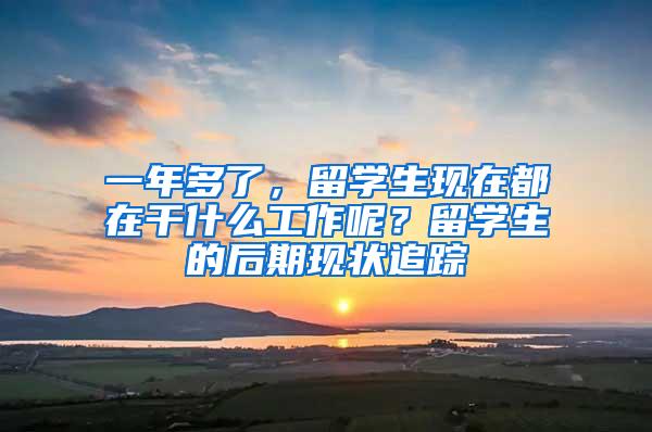 一年多了，留学生现在都在干什么工作呢？留学生的后期现状追踪