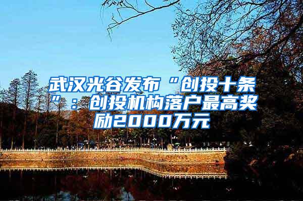 武汉光谷发布“创投十条”：创投机构落户最高奖励2000万元