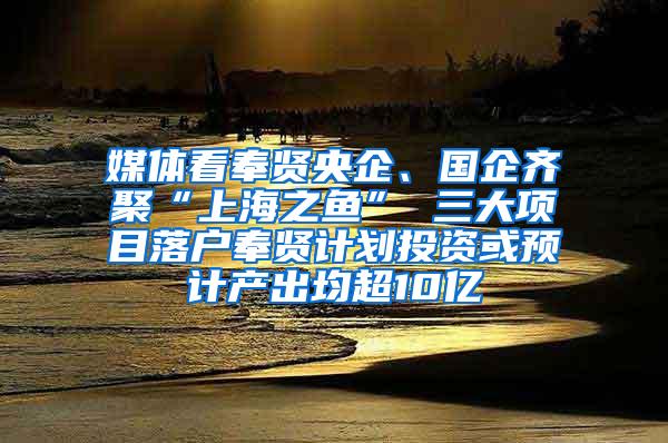 媒体看奉贤央企、国企齐聚“上海之鱼” 三大项目落户奉贤计划投资或预计产出均超10亿