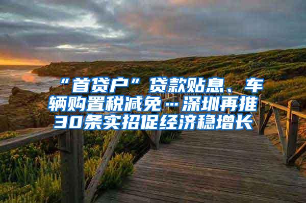 “首贷户”贷款贴息、车辆购置税减免…深圳再推30条实招促经济稳增长