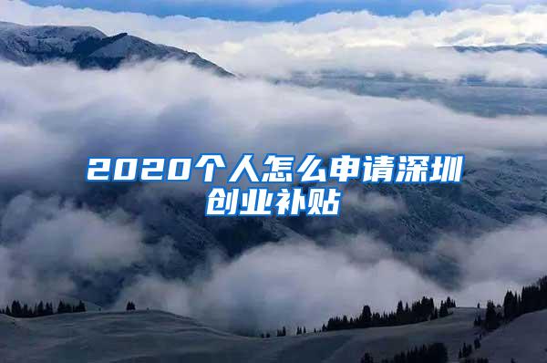 2020个人怎么申请深圳创业补贴