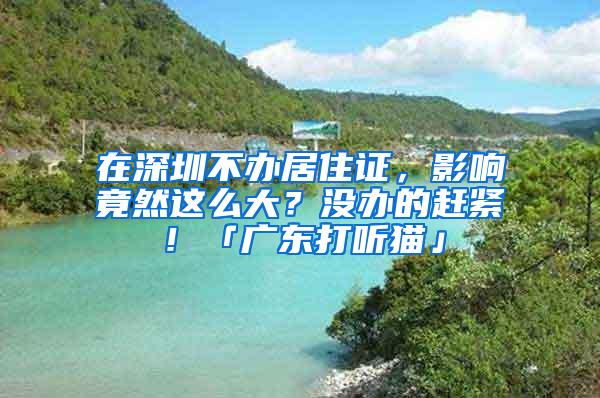 在深圳不办居住证，影响竟然这么大？没办的赶紧！「广东打听猫」