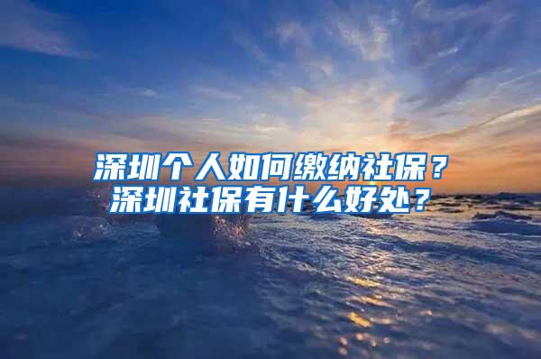 深圳个人如何缴纳社保？深圳社保有什么好处？