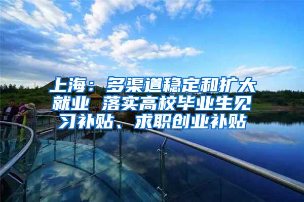 上海：多渠道稳定和扩大就业 落实高校毕业生见习补贴、求职创业补贴