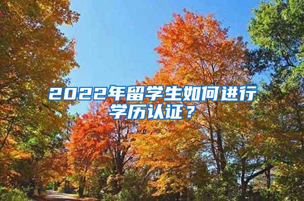 2022年留学生如何进行学历认证？