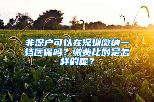 非深户可以在深圳缴纳一档医保吗？缴费比例是怎样的呢？