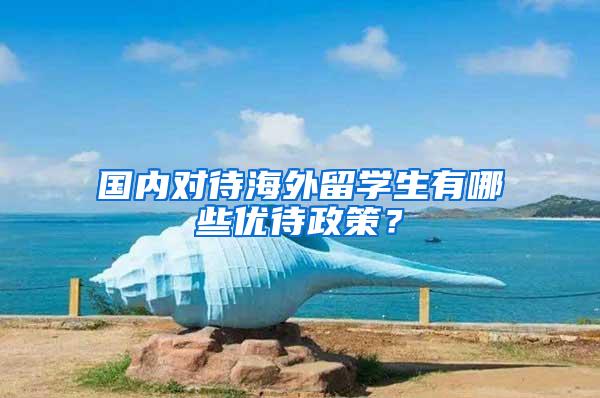 国内对待海外留学生有哪些优待政策？