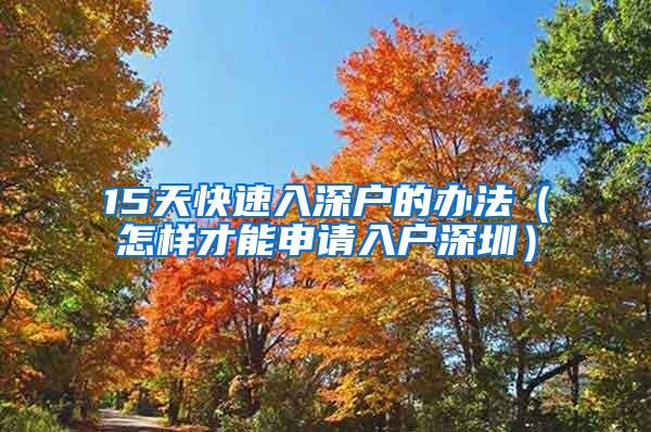 15天快速入深户的办法（怎样才能申请入户深圳）