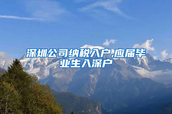 深圳公司纳税入户,应届毕业生入深户