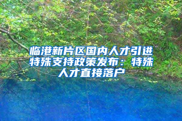 临港新片区国内人才引进特殊支持政策发布：特殊人才直接落户