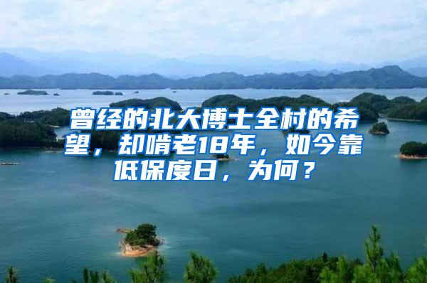 曾经的北大博士全村的希望，却啃老18年，如今靠低保度日，为何？