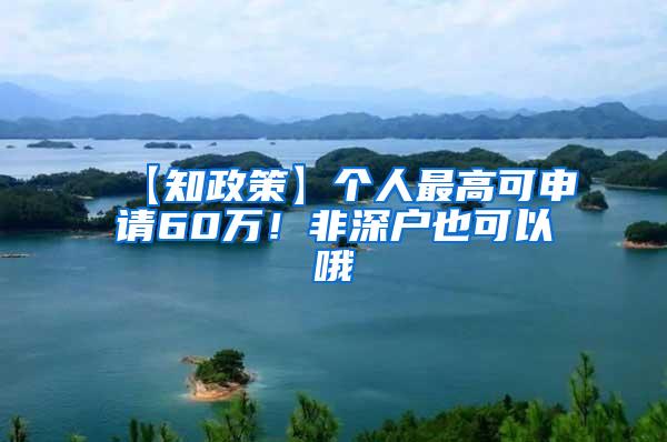 【知政策】个人最高可申请60万！非深户也可以哦