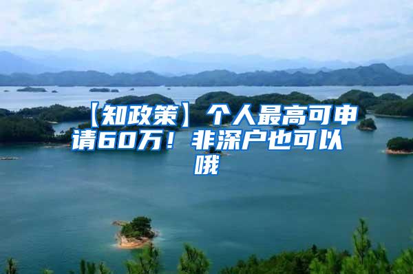 【知政策】个人最高可申请60万！非深户也可以哦