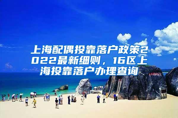 上海配偶投靠落户政策2022最新细则，16区上海投靠落户办理查询