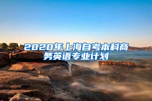 2020年上海自考本科商务英语专业计划