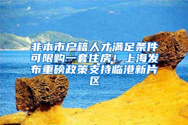 非本市户籍人才满足条件可限购一套住房！上海发布重磅政策支持临港新片区