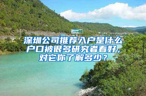 深圳公司推荐入户是什么户口被很多研究者看好，对它你了解多少？