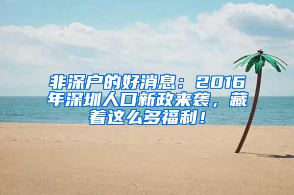 非深户的好消息：2016年深圳人口新政来袭，藏着这么多福利！