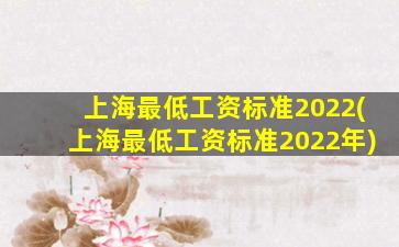 上海最低工资标准2022(上海最低工资标准2022年)