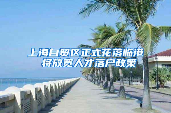 上海自贸区正式花落临港 将放宽人才落户政策