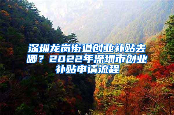 深圳龙岗街道创业补贴去哪？2022年深圳市创业补贴申请流程