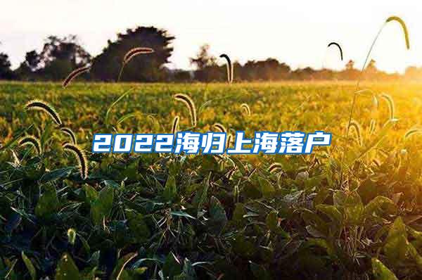 2022海归上海落户