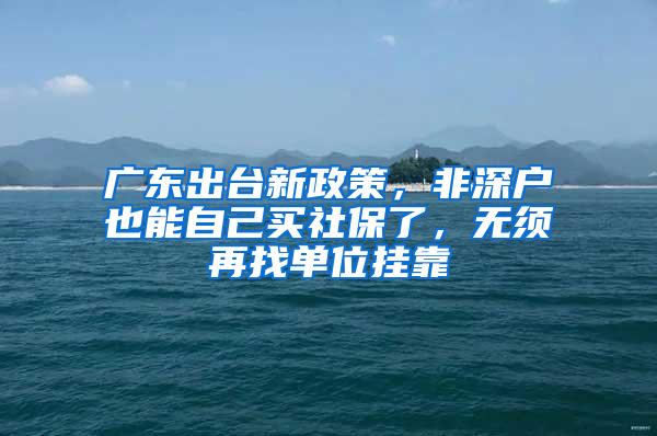 广东出台新政策，非深户也能自己买社保了，无须再找单位挂靠