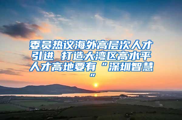 委员热议海外高层次人才引进 打造大湾区高水平人才高地要有“深圳智慧”