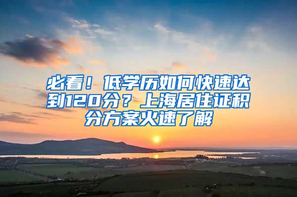 必看！低学历如何快速达到120分？上海居住证积分方案火速了解