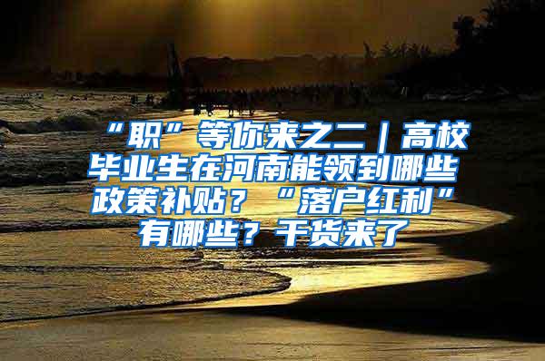 “职”等你来之二｜高校毕业生在河南能领到哪些政策补贴？“落户红利”有哪些？干货来了