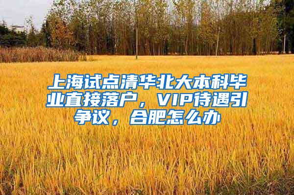 上海试点清华北大本科毕业直接落户，VIP待遇引争议，合肥怎么办