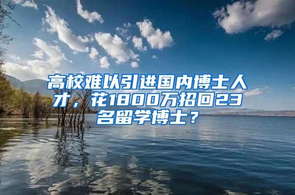 高校难以引进国内博士人才，花1800万招回23名留学博士？