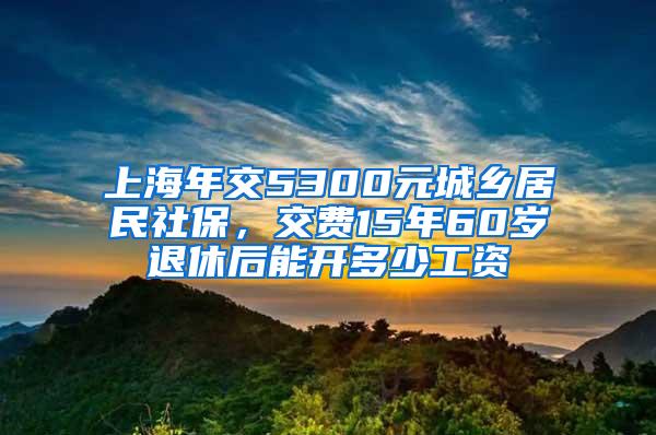 上海年交5300元城乡居民社保，交费15年60岁退休后能开多少工资
