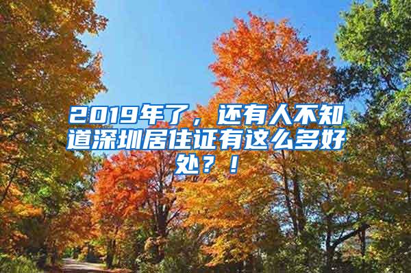 2019年了，还有人不知道深圳居住证有这么多好处？！