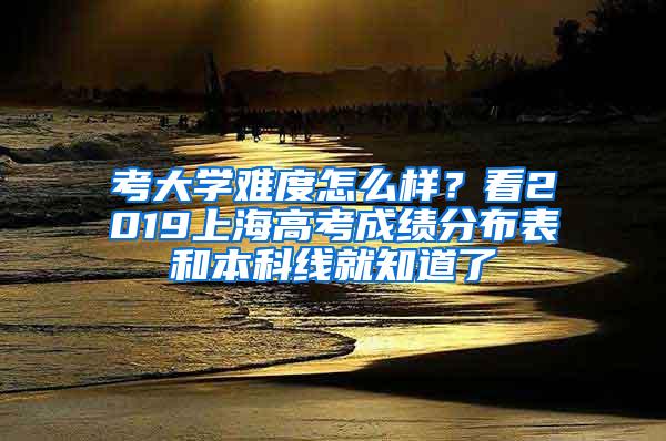 考大学难度怎么样？看2019上海高考成绩分布表和本科线就知道了