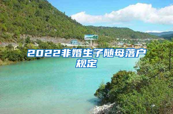 2022非婚生子随母落户规定