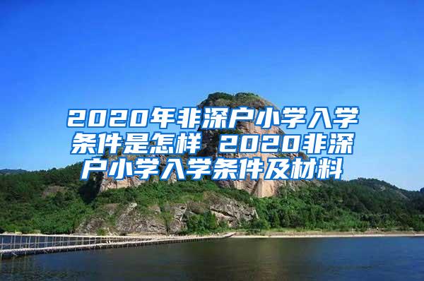 2020年非深户小学入学条件是怎样 2020非深户小学入学条件及材料