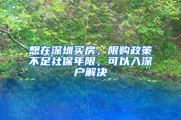 想在深圳买房，限购政策不足社保年限，可以入深户解决