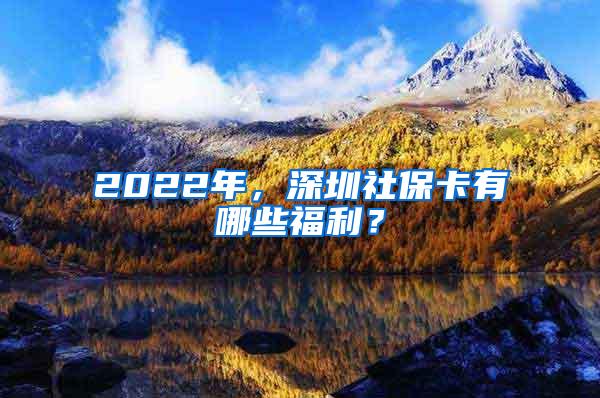 2022年，深圳社保卡有哪些福利？