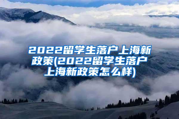 2022留学生落户上海新政策(2022留学生落户上海新政策怎么样)