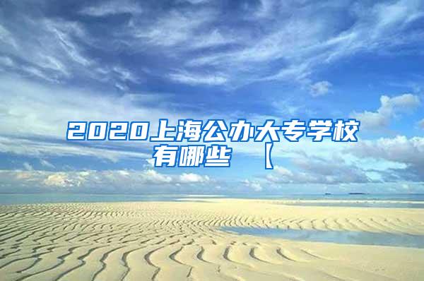 2020上海公办大专学校有哪些 【