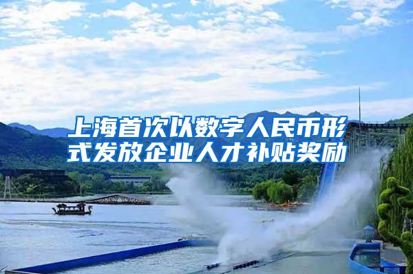 上海首次以数字人民币形式发放企业人才补贴奖励