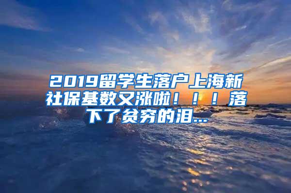 2019留学生落户上海新社保基数又涨啦！！！落下了贫穷的泪...